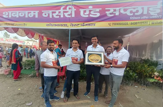 Longan tree sapling awarded for quality cultivation