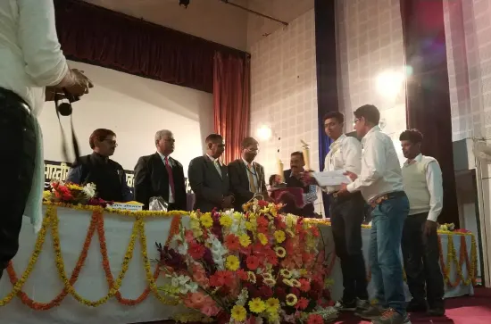 Organic longan plants in pots prepared for farmers