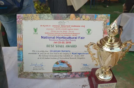 Shabnam Nursery official certification and logo