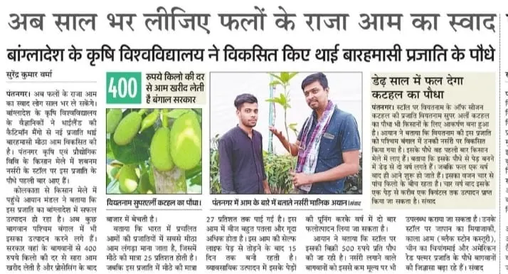 Healthy nursery plants prepared for nationwide delivery