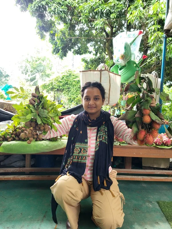 Close-up of ripe longan fruits with brown skin